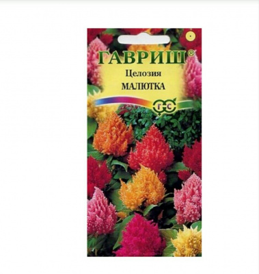 Изображение загружено