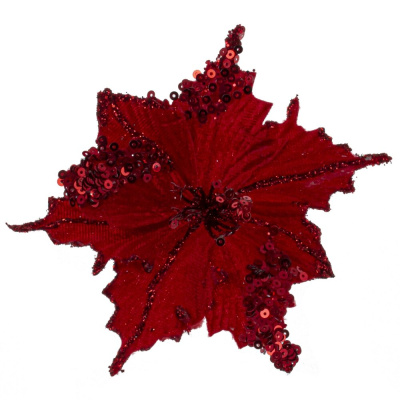 t8i2hrj7fgy8dgrwmj90n9x1s2wsmw8e (1)