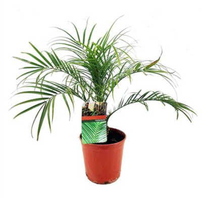 B009492_0000282545_H_1