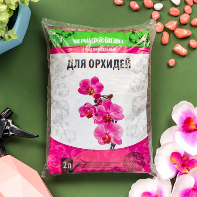 700 - 2025-02-06T151207.565