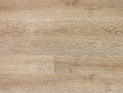 дуб светлый