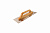 Гладилка из нерж. стали, MATRIX 480х130мм, деревянная ручка