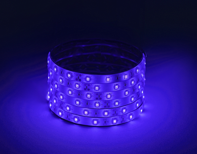 С Лента светодиодная 12В  4,8Вт/м 60Led/м IP65 синий LS2835 -4,8-60-12-B-IP65-1 year 5метров ЭРА
