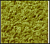 Ковер жаккардовый двухполотный, 13С57-ВИ sh/o/06 2,5*3,5 (7,41 м2)