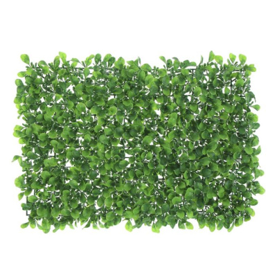 Изображение загружено