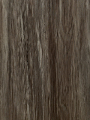 aa5m7jtxwmwkzlbdul7uoax2flgsjzoo