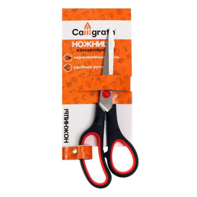 Изображение загружено