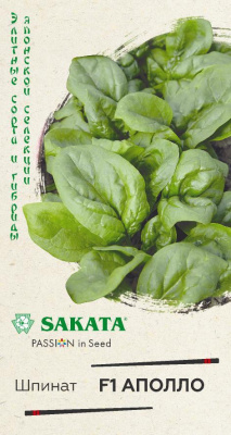 Изображение загружено