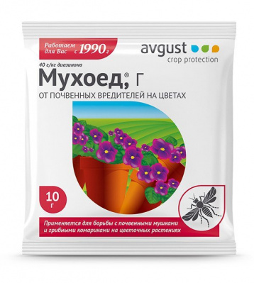 Изображение загружено