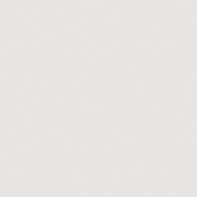 54310-2 Обои флизелиновые Gallinara, фон светло-серый 1,06х10м