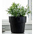 gorshok-alemar-vipset-chernay-2.4l-500x500 (1)