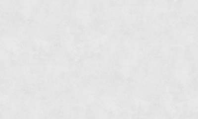 283737 Обои флизелиновые Polet фон белый 1,06х10м