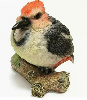 Изображение загружено