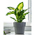 gorshok-alemar-vipset-seray-2.4l-1-500x500