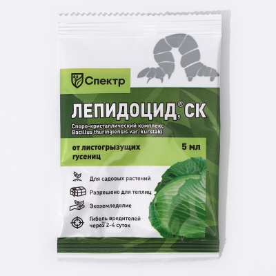 Изображение загружено