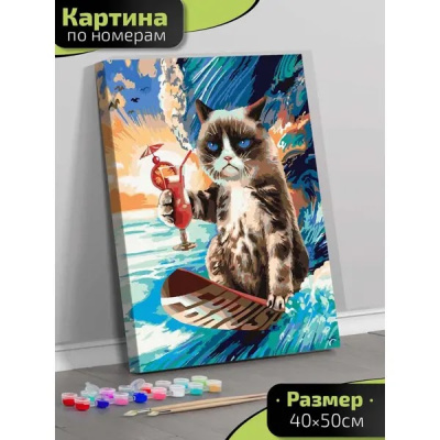 Lp14-026 Картина по номерам Серфингист 40х50 см.