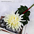 Цветы искусственные "Астра пионовидная" 17х63 см, белый              
