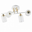 Люстра потолочная Rivoli Georgiana 4xE27х60W 9м2 9144-203