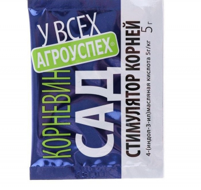 Изображение загружено