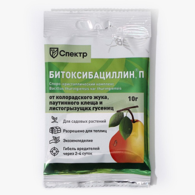 Изображение загружено