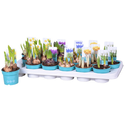 eb5bef9c-4c6f-4e16-83c1-52d2232d6438