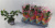 B008199_0000297727_H_1 B008199_0000297727_H_1