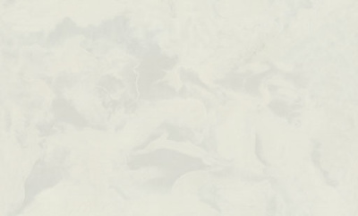 7289-00-раппорт