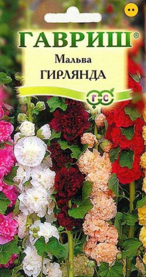 Изображение загружено