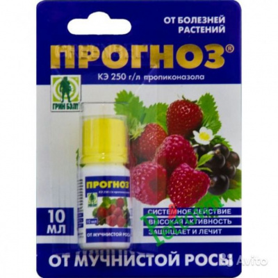 Изображение загружено