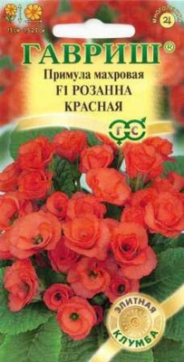 Изображение загружено