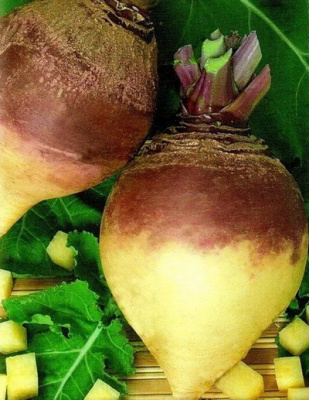 Изображение загружено