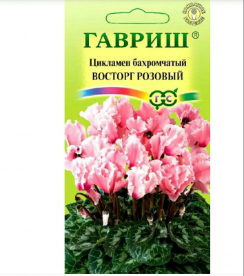 Изображение загружено