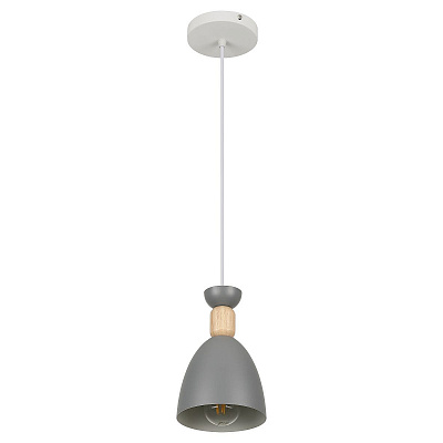 Светильник подвесной (подвес) Rivoli Catherine 5109-310 1хЕ27 60 Вт лофт-кантри серый