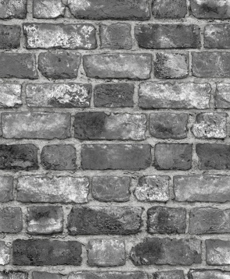 ЦВ-00001806 Обои бумажные Честер мотив чёрный 0,53х10,05м