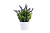 3ff8540c_5528_11ed_8d8e_000c295fff42_9171580c_927a_11ee_8fc2_a234df7a23a6