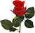 12da077f_aed0_11ee_8c6e_f02f74cb38bd_b409b270_32bc_11ef_8ee4_74563c0e8674