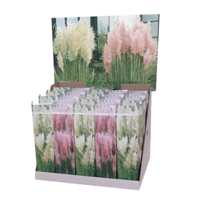 B041893_0000198448_H_1