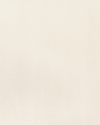 E201803 Обои флизелиновые Willow, фон бежевый 1,06x10,05м