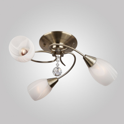 Изображение загружено