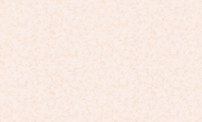 374-22 Обои флизелиновые EasyPro Blizzard , фон бежевый 1,06х10,05м