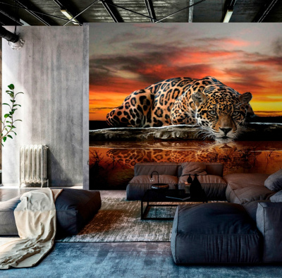 хищник на закате2