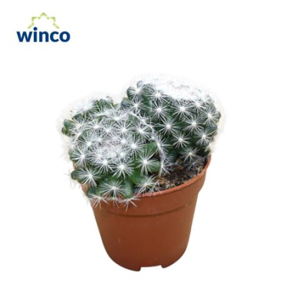 B009380_0000320253_H_1