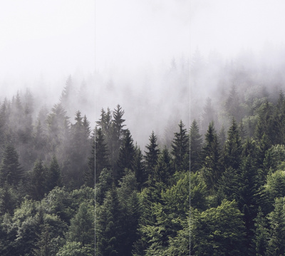 туманная Скандинавия