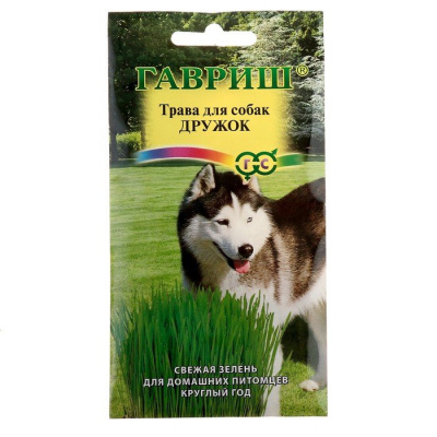 Изображение загружено