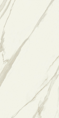 8e9b94caba68b36b9ff4a670cd968874