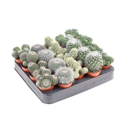 B009380_0000184161_H_1