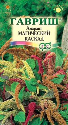 Изображение загружено