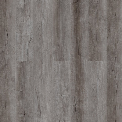 Noventis Avalon Дуб Камелот 1581