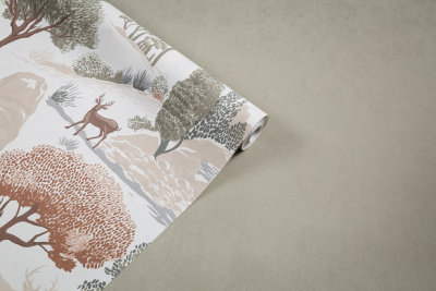 Img_HC72580-17 HC72581-17 (1)