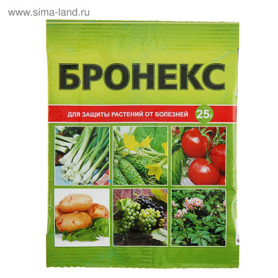 Изображение загружено
